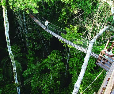 day08-10-inkaterra-canopy-walk-latin-excursions