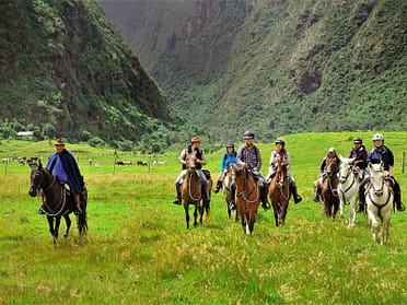 hacienda-zuleta-horseback-riding-latin-excursions
