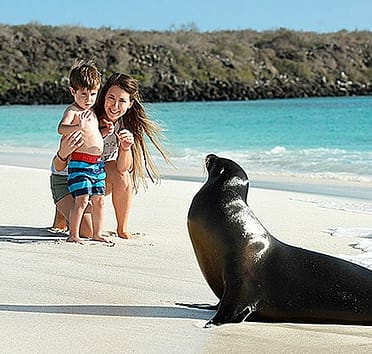 galapagos-sea-lion-mom-child