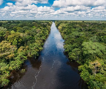 New-8-2016-Amazon-River-Landscape---High-Resolution