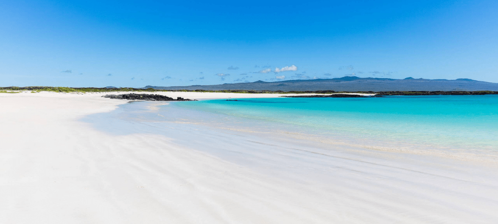 Best time to visit the Galapagos Islands