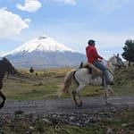 Cotopaxi Horseback Riding