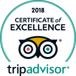 Trip Advisor Certificate of Excellence 2018 med