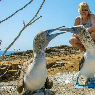 Galapagos Islands Travel: The 9 “Must-Knows” Before you Book