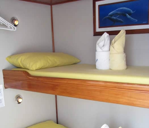 Aida maria bunk room galapagos islands