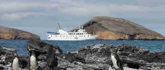 La-Pinta-Yacht-Pegunis-Galapagos-Islands