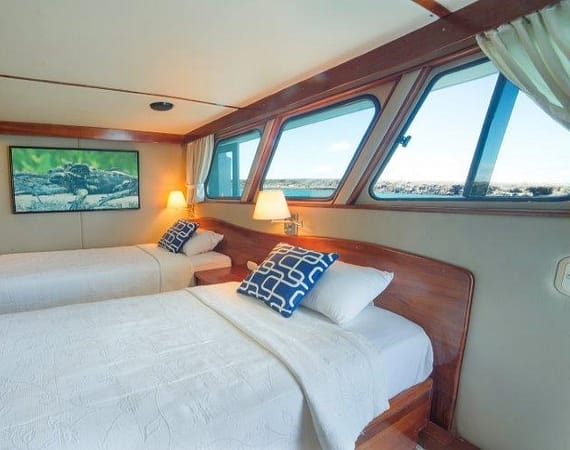 Reina Silvia Galapagos Cruise twin cabin upper