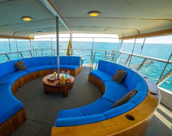 Reina Silvia Galapagos Cruise lounge deck