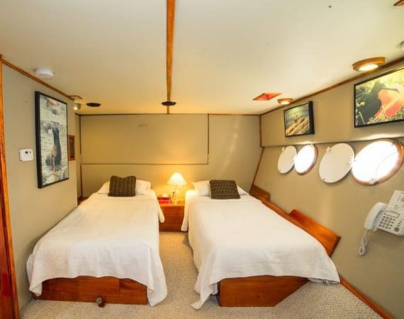 Reina Silvia Galapagos Cruise cabin