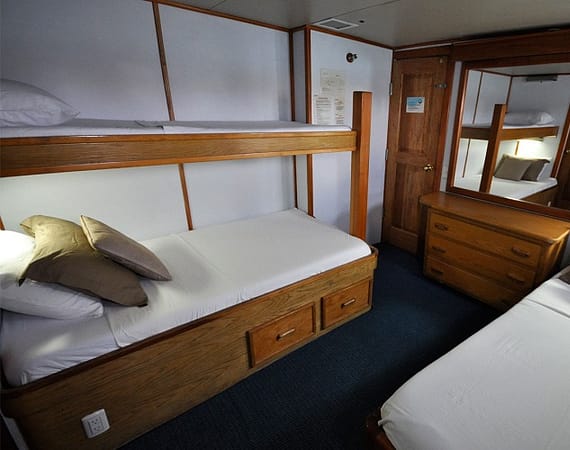 Beluga Galapagos Cruise twin cabin