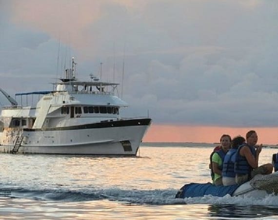 Beluga Galapagos Cruise zodiac