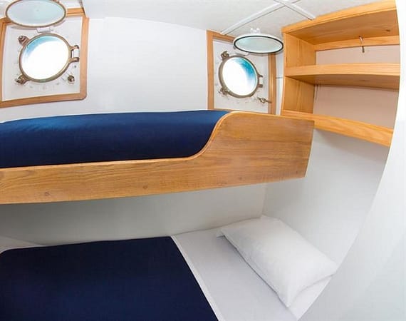 Cachalote Explorer Galapagos Cruise bunk cabin