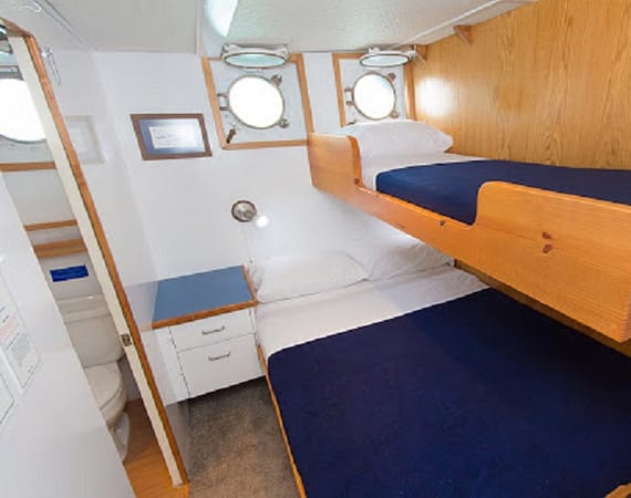 Cachalote Explorer Galapagos Cruise bunkbeds