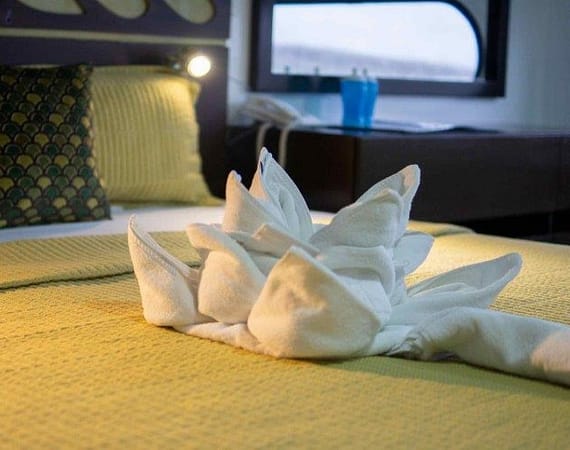 EcoGalaxy Galapagos Cruise bed