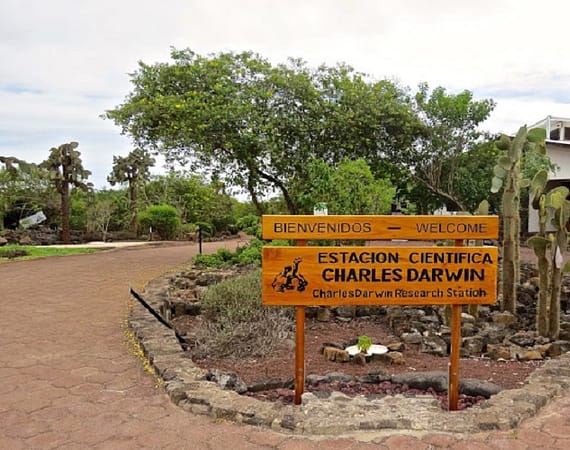 Galapagos Islands Honeymoon package darwin center