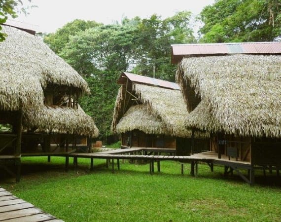 Jamu Lodge Amazon Tours