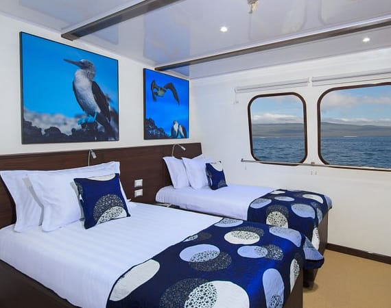 Natural Paradise Galapagos Cruise twin cabin