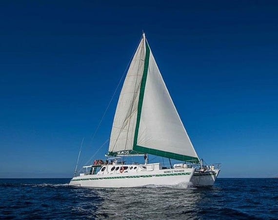 Nemo II Galapagos Cruise boat