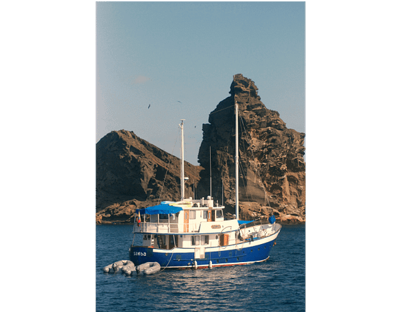 Samba Galapagos Cruise yacht