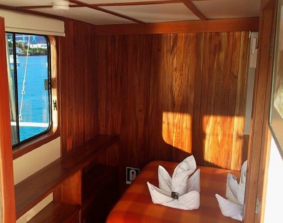 Samba Galapagos Cruise cabin