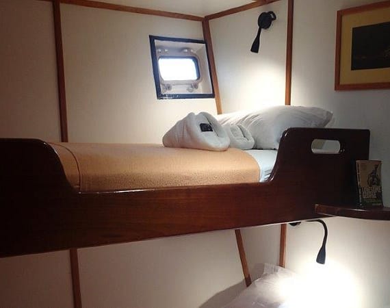 Samba Galapagos Cruise bunk cabin