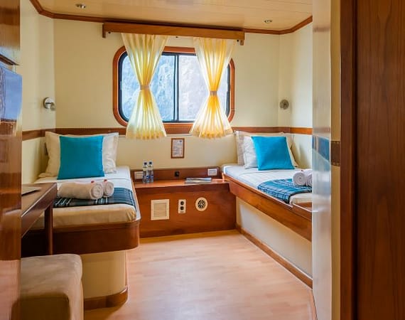 Seaman Journey Galapagos Cruise standard twin cabin