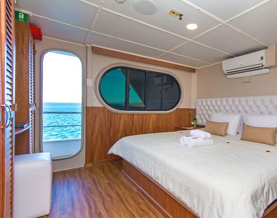 Tip Top II Galapagos Cruise suite