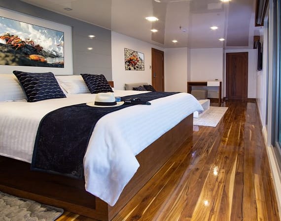 Infinity Galapagos Cruise suite