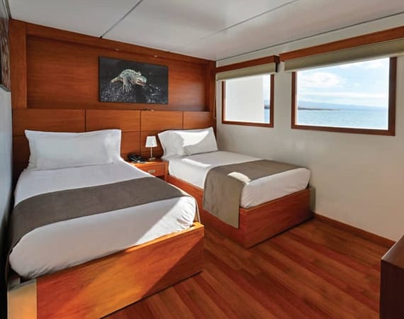 celebrity exploration galapagos cruise twin bed cabin