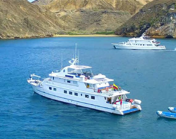 Coral I & II Galapagos Cruise on tour