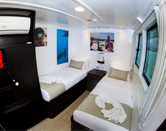Monserrat Galapagos Cruise cabin