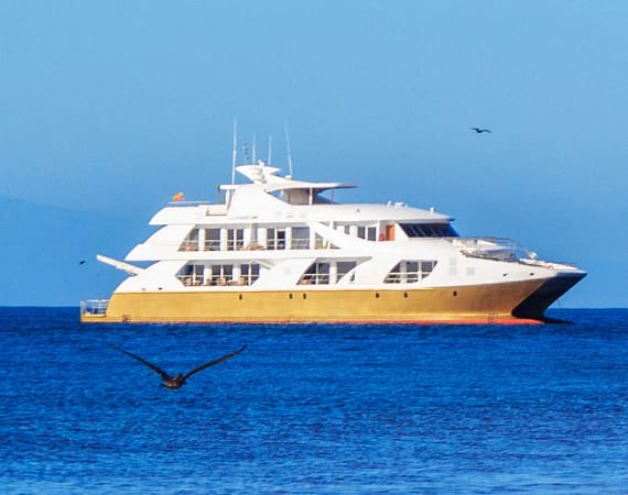 Galapagos Elite Cruise Ship