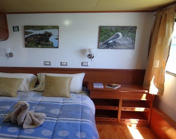 Angelito Galapagos Cruise upper cabin