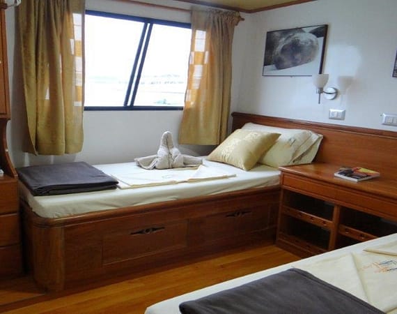 Angelito Galapagos Cruise twin cabin