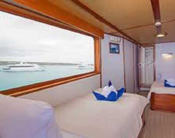Beluga Galapagos Cruise cabin