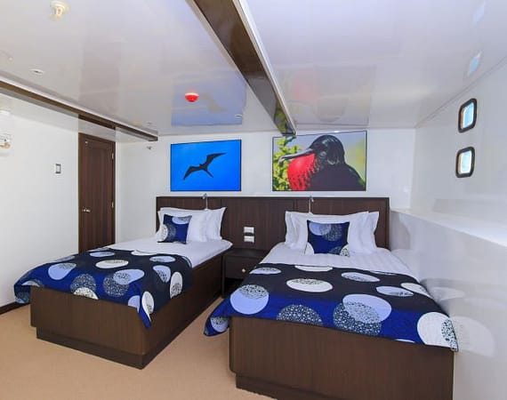 Natural Paradise Galapagos Cruise twin cabin