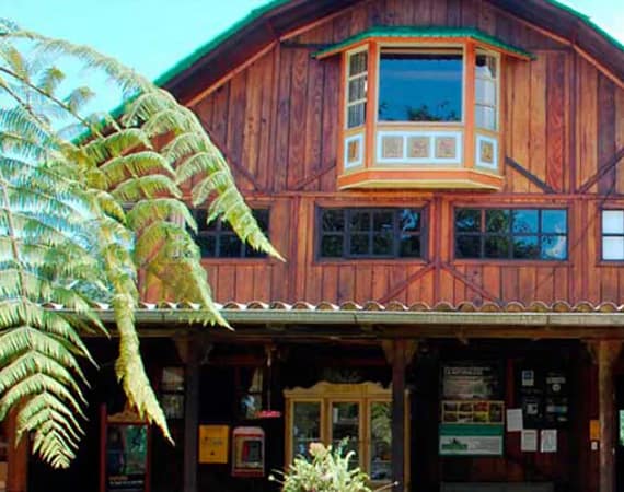 Sachatamia Lodge Ecuador Cloud Forest Tours