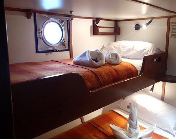 Samba Galapagos Cruise bunk room