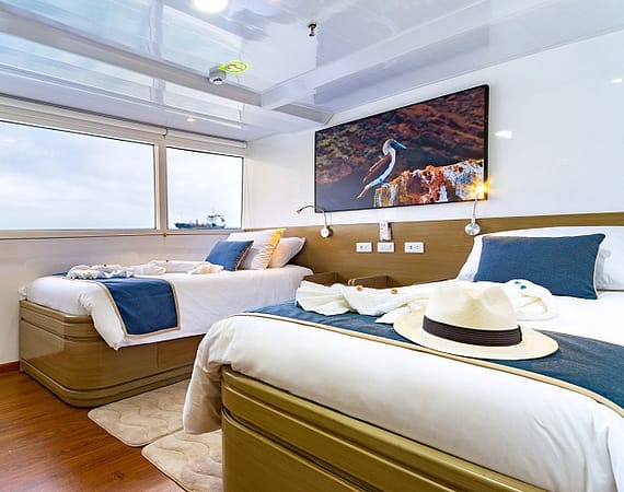 Calipso Galapagos Cruise twin cabin