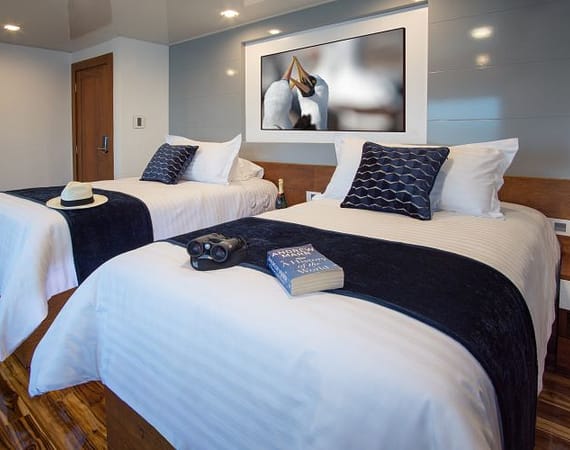 Infinity Galapagos Cruise double cabin