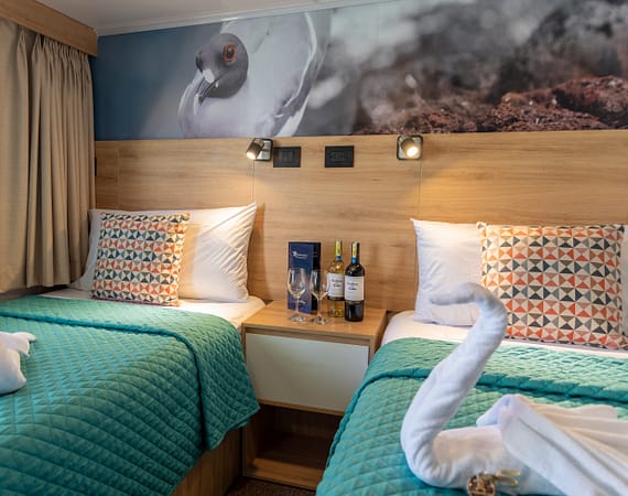 twin cabin aboard the Galapagos Islands cruise yacht Bonita