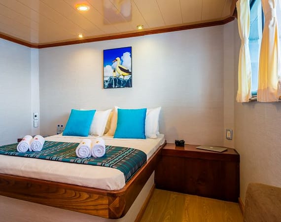Seaman Journey Galapagos Cruise standard double cabin
