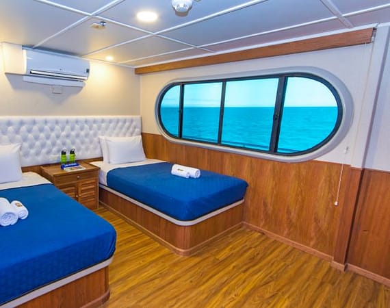 Tip Top II Galapagos Cruise standard twin cabin
