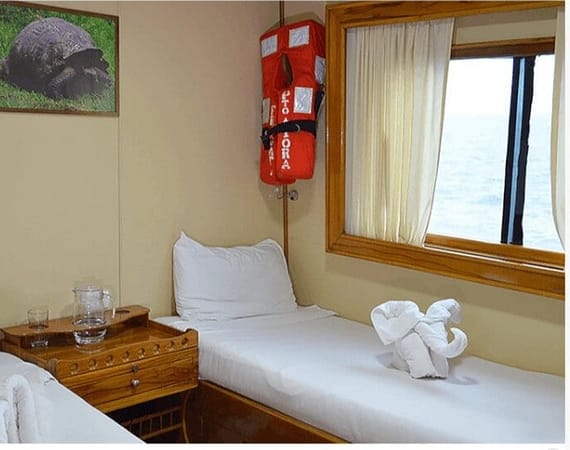 Fragata Galapagos Cruise upper twin cabin