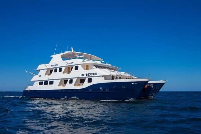 Best Cruises to Galapagos