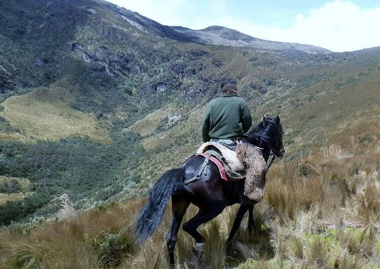 Horseback Riding in Quito Ecuador