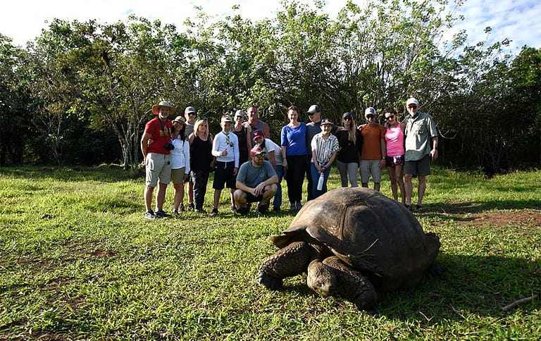 Giant Turtle - Galapagos Islands