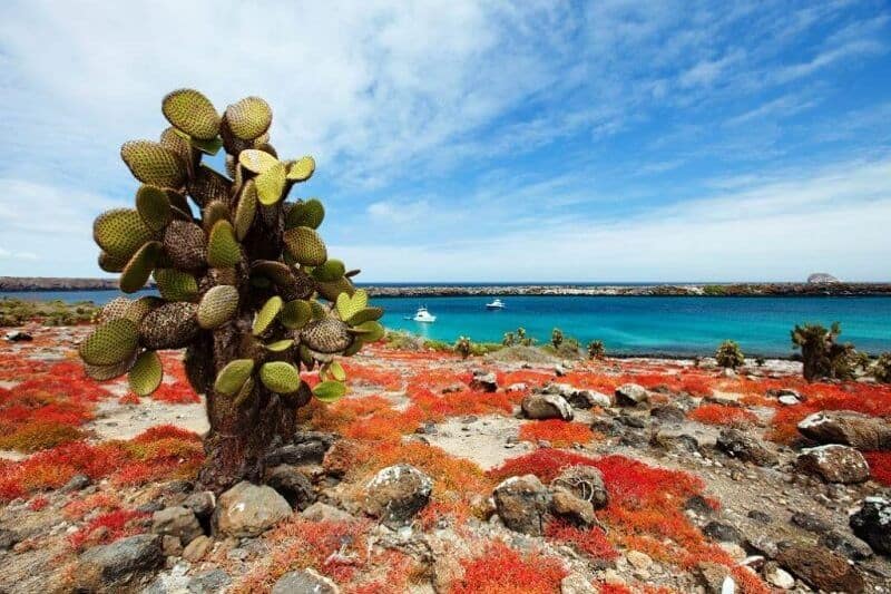 Galapagos Islands Day Tours