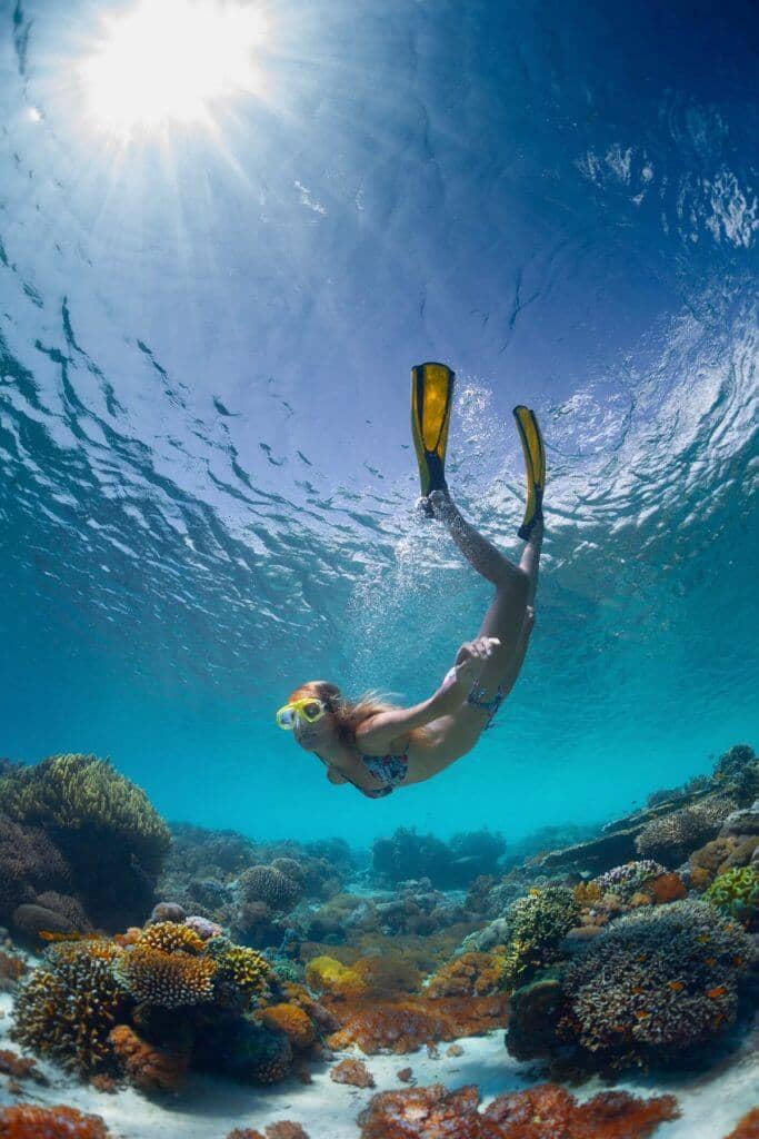 Galapagos snorkel